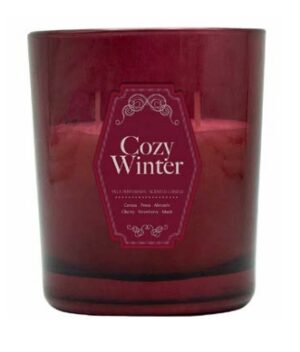 Vela aromática Cozy Winter de cera vegetal